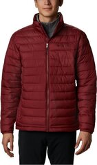 Striukė vyrams Columbia Powder Lite Jacket kaina ir informacija | Columbia Vyriški drаbužiai | pigu.lt