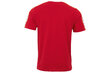 Sportiniai marškinėliai vyrams Kappa Hanno T-Shirt 308011-19-1863, raudoni цена и информация | Sportinė apranga vyrams | pigu.lt
