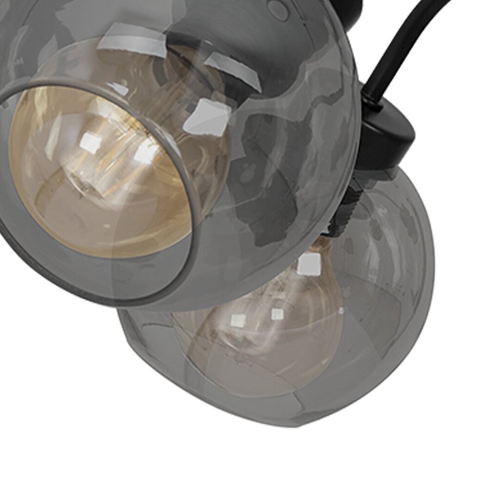 Milagro lubinis šviestuvas Sofia Smoked kaina ir informacija | Lubiniai šviestuvai | pigu.lt