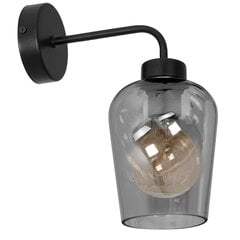 Milagro настенный светильник Santiago Smoked цена и информация | Настенные светильники | pigu.lt