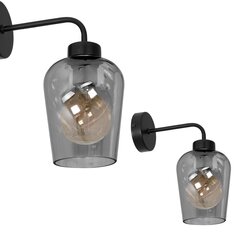 Milagro настенный светильник Santiago Smoked цена и информация | Настенные светильники | pigu.lt