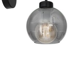 Milagro настенный светильник Sofia Smoked цена и информация | Настенные светильники | pigu.lt