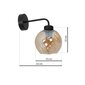 Milagro sieninis šviestuvas Sofia Amber kaina ir informacija | Sieniniai šviestuvai | pigu.lt