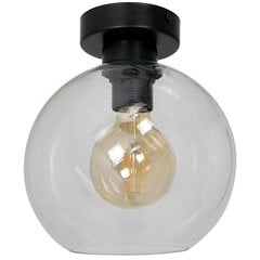 Milagro потолочный светильник Sofia Clear цена и информация | Потолочные светильники | pigu.lt