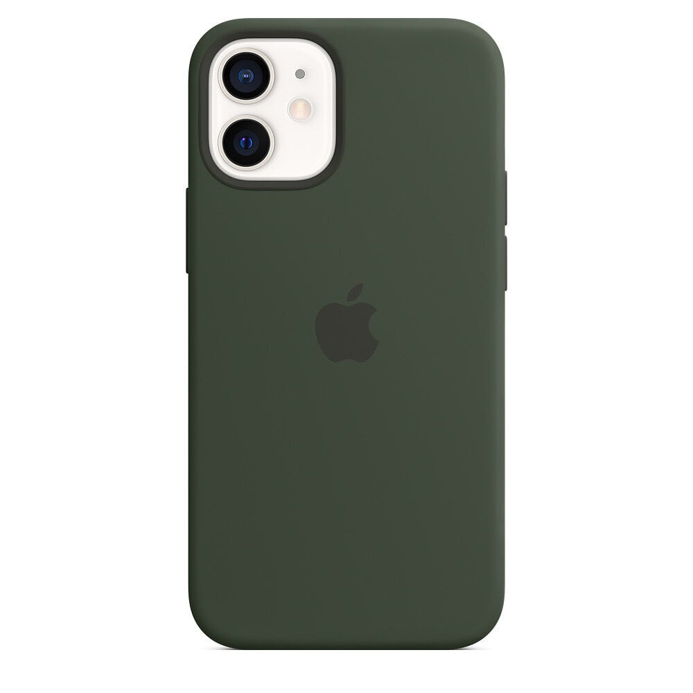 Apple Silicone Case MagSafe MHKR3ZM/A Green kaina ir informacija | Telefono dėklai | pigu.lt