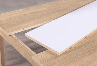 Nico stalas 120 cm, pagamintas iš FSC® sertifikuotų medžiagų. kaina ir informacija | Svetainės stalai | pigu.lt