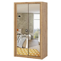 Шкаф с зеркалом Selsey Rinker 120, светло-коричневый цена и информация | Шкафы | pigu.lt