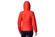 Striukė moterims Columbia Wm Powder Lite Hooded Jacket kaina ir informacija | Striukės moterims | pigu.lt