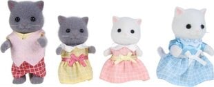 Kуклы Sylvanian Families 5455 The Persian Cat Family цена и информация | Игрушки для девочек | pigu.lt