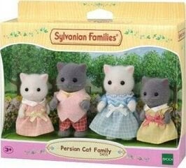 Figūrėlių rinkinys Sylvanian Families Persų kačių šeima kaina ir informacija | Žaislai mergaitėms | pigu.lt