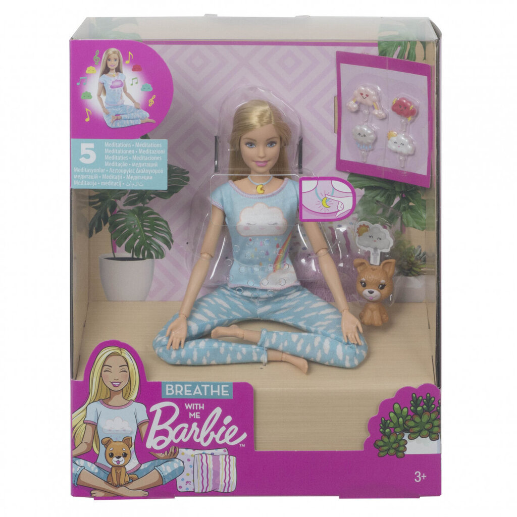 Lėlė Barbie su priedais meditacijai Mattel Barbie Wellness „Breath With Me“, GNK01 цена и информация | Žaislai mergaitėms | pigu.lt