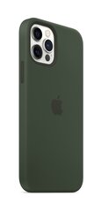 Apple dėklas MagSafe skirtas Apple iPhone 12 Pro Max, Žalia цена и информация | Чехлы для телефонов | pigu.lt