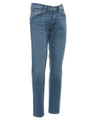 Джинсы для мужчин Gant цена и информация | Мужские джинсы | pigu.lt