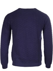 Свитер мужской Gant цена и информация | Мужские свитера | pigu.lt