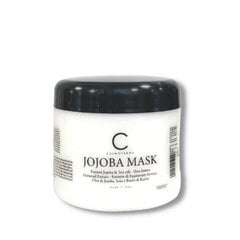 Регенерирующая маска для поврежденных волос, обогащенная растительной плацентой Cosmofarma Joniline 500 мл цена и информация | Средства для укрепления волос | pigu.lt