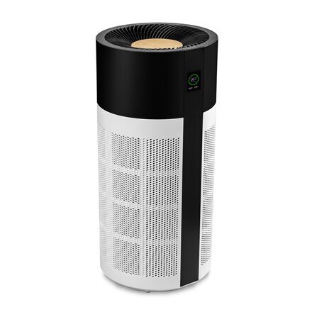 Išmanusis oro valytuvas Duux Tube Smart Air Purifier DXPU03 цена и информация | Oro valytuvai | pigu.lt