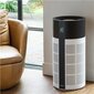 Išmanusis oro valytuvas Duux Tube Smart Air Purifier DXPU03 kaina ir informacija | Oro valytuvai | pigu.lt