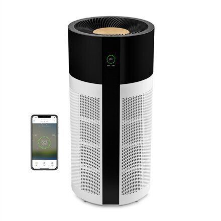 Išmanusis oro valytuvas Duux Tube Smart Air Purifier DXPU03 kaina ir informacija | Oro valytuvai | pigu.lt