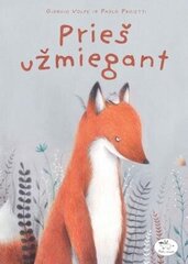 Prieš užmiegant цена и информация | Книги для детей | pigu.lt