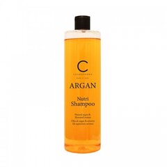 Шампунь для волос с аргановым маслом ARGAN, 250 мл цена и информация | Шампуни | pigu.lt