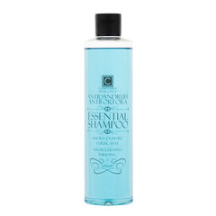 Plaukų šampūnas nuo pleiskanų ESSENTIAL, 300 ml kaina ir informacija | Šampūnai | pigu.lt