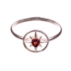 Gintaro - sidabro žiedas "Saulės ratas" kaina ir informacija | Žiedai | pigu.lt