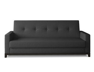 Sofa NORE Selene 19, juoda kaina ir informacija | Sofos | pigu.lt