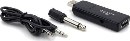 Mikrofonai karaoke Media-Tech ACCENT PRO MT395 - Du belaidžiai mikrofonai su USB imtuvu цена и информация | Mikrofonai | pigu.lt