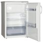 Snaigė R13SM-P6000F kaina ir informacija | Šaldytuvai | pigu.lt