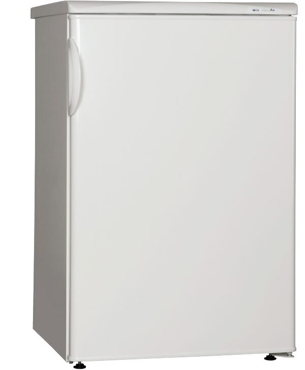 Snaigė R13SM-P6000F kaina ir informacija | Šaldytuvai | pigu.lt