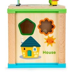 Деревянный развивающий куб - сортировщик Ecotoys HM015470 цена и информация | Игрушки для малышей | pigu.lt