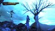 PS4 Anima: Gate of Memories - The Nameless Chronicles kaina ir informacija | Kompiuteriniai žaidimai | pigu.lt