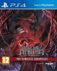 PS4 Anima: Gate of Memories - The Nameless Chronicles цена и информация | Компьютерные игры | pigu.lt