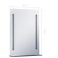 Sieninis vonios kambario LED veidrodis su lentyna, 50x70cm kaina ir informacija | Veidrodžiai | pigu.lt