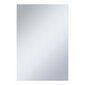 Sieninis vonios kambario veidrodis su LED, 60x100cm, kaina ir informacija | Veidrodžiai | pigu.lt