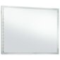 Sieninis vonios kambario veidrodis su LED, 100x60cm, kaina ir informacija | Veidrodžiai | pigu.lt