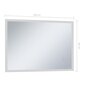 Sieninis vonios kambario veidrodis su LED ir jutikliu, 100x60cm, kaina ir informacija | Veidrodžiai | pigu.lt