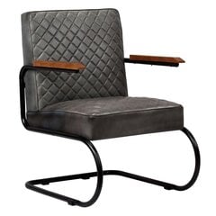 Кресло, серое, натуральная кожа цена и информация | Кресла в гостиную | pigu.lt