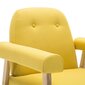 Krėslas, geltonas kaina ir informacija | Svetainės foteliai | pigu.lt