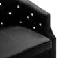 Krėslas, juodas kaina ir informacija | Svetainės foteliai | pigu.lt