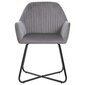 Valgomojo kėdės, 2vnt., pilkos spalvos, aksomas kaina ir informacija | Virtuvės ir valgomojo kėdės | pigu.lt