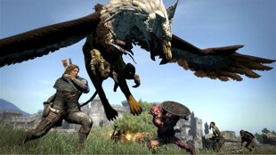 Dragon's Dogma, PS3 kaina ir informacija | Kompiuteriniai žaidimai | pigu.lt