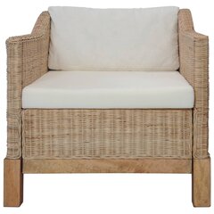 Krėslas su pagalvėlėmis, rudas kaina ir informacija | Lauko kėdės, foteliai, pufai | pigu.lt
