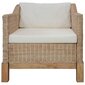 Krėslas su pagalvėlėmis, rudas цена и информация | Lauko kėdės, foteliai, pufai | pigu.lt