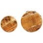 vidaXL Kavos staliukai, 2vnt., mango medienos masyvas kaina ir informacija | Kavos staliukai | pigu.lt