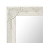 Sieninis veidrodis, 50x60cm, barokinis stilius, kaina ir informacija | Veidrodžiai | pigu.lt