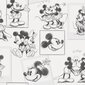 Tapetas Kids at Home Mickey and Minnie, juoda цена и информация | Tapetai | pigu.lt