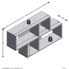 Lentyna 53x100x20 cm balta цена и информация | Полки | pigu.lt