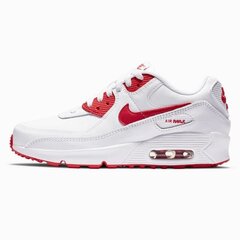 Kedai vaikams Nike Air Max 90 LTR Jr CD6864 106 kaina ir informacija | Sportiniai batai vaikams | pigu.lt