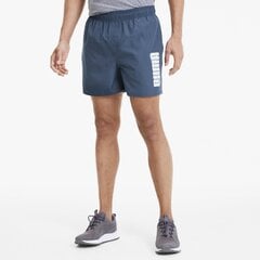 Puma мужские шорты 843727*43, тёмно-синий цена и информация | Мужская спортивная одежда | pigu.lt